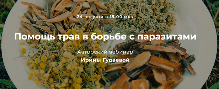 2022-08-23_04-05-32 (2).png