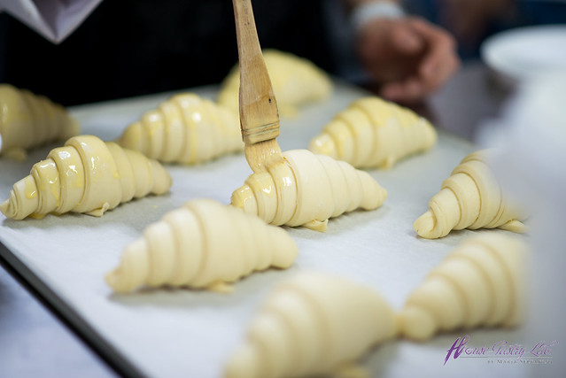 40531505685_8ec8414f42_z (1).jpg