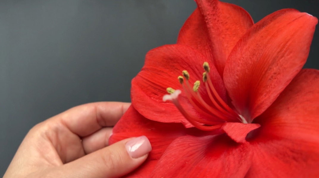 Без имени.png