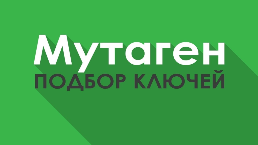 Без имени.png