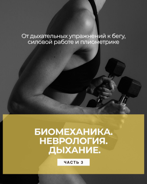 Без имени.png