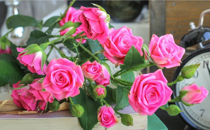 Без имени.png