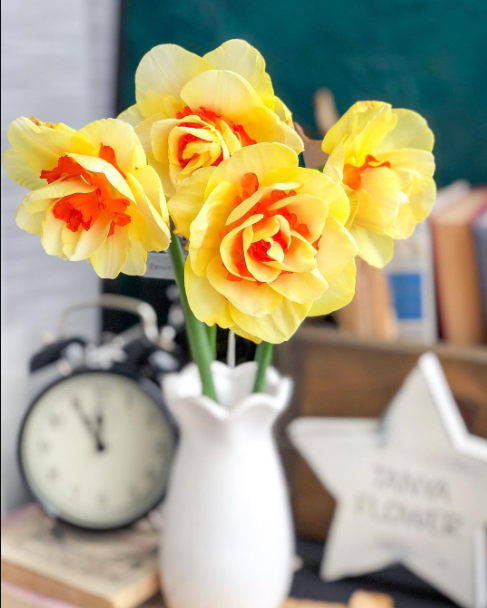 Без имени.png