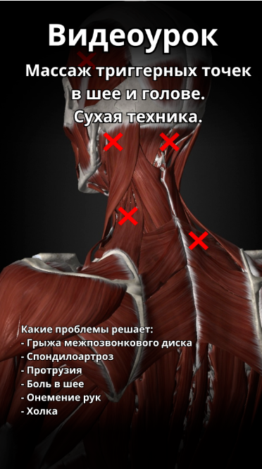 Без имени.png