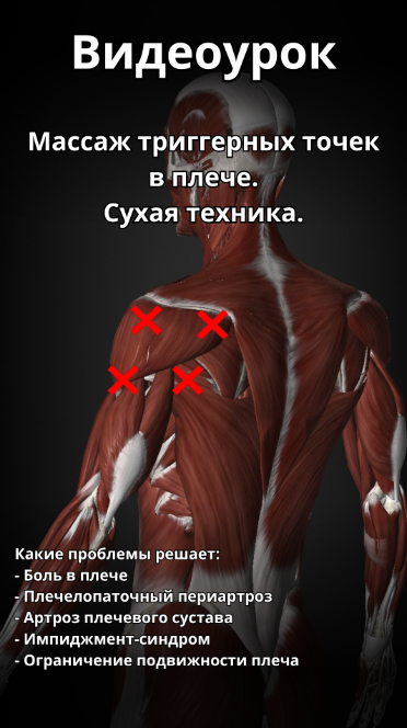 Без имени.png