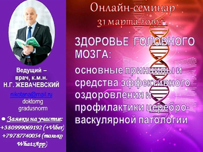 Головной мозг.png