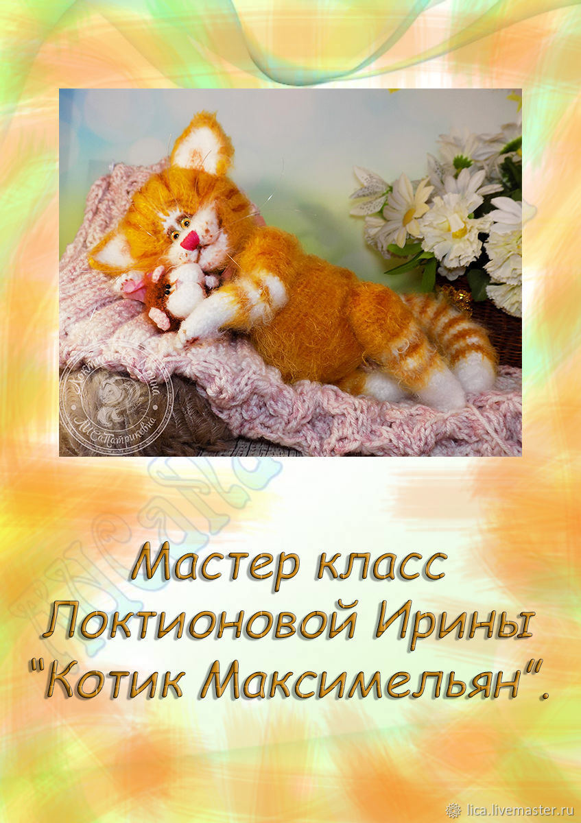 котикккк.jpg