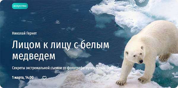 Лицом к лицу с белым медведем. Николай Гернет.png