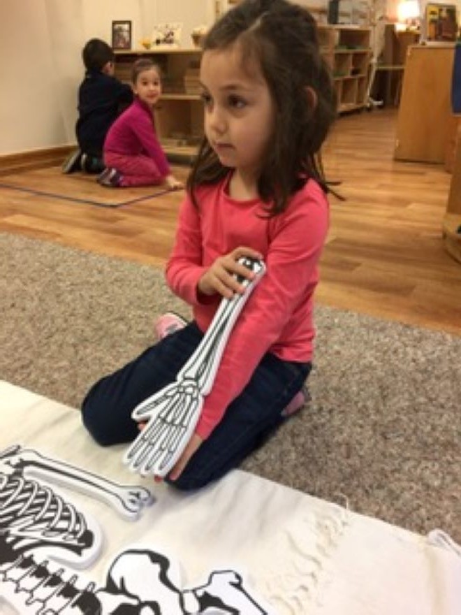 Обучение через интерес 2.jpg