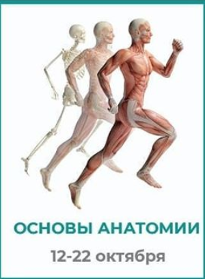 Screen Shot 2020-08-12 at 18.58.20.png