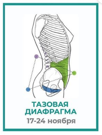 Screen Shot 2020-09-16 at 11.27.15.png