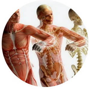 Screenshot 2023-01-26 212319.jpg