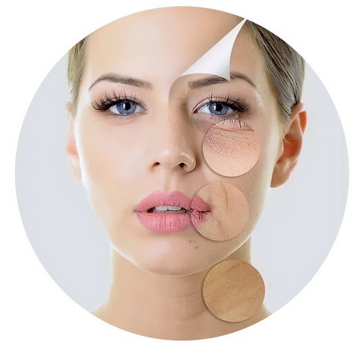 Screenshot 2023-01-26 213708.jpg