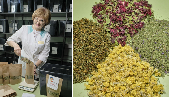 Screenshot 2025-11-30 at 11-21-32 Школа семейного траволечения Ольги Данилюк.png