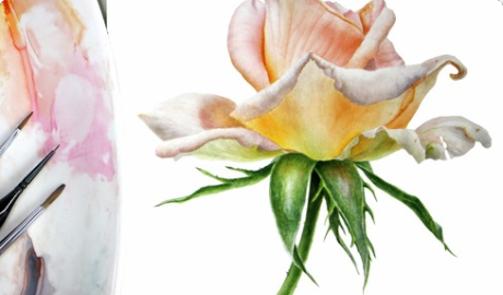 Screenshot_2020-05-21 1.png