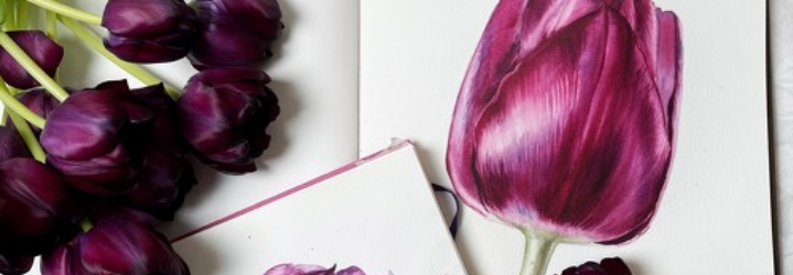 Screenshot_2021-03-09 https mioxa com(1).png