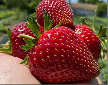 Скриншот 08-03-2025 152727.jpg