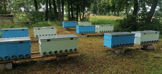 Скриншот 14-07-2025 164809.jpg