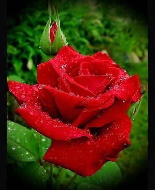 Скриншот 15-06-2024 132325.jpg