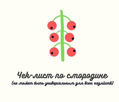 смородина.png