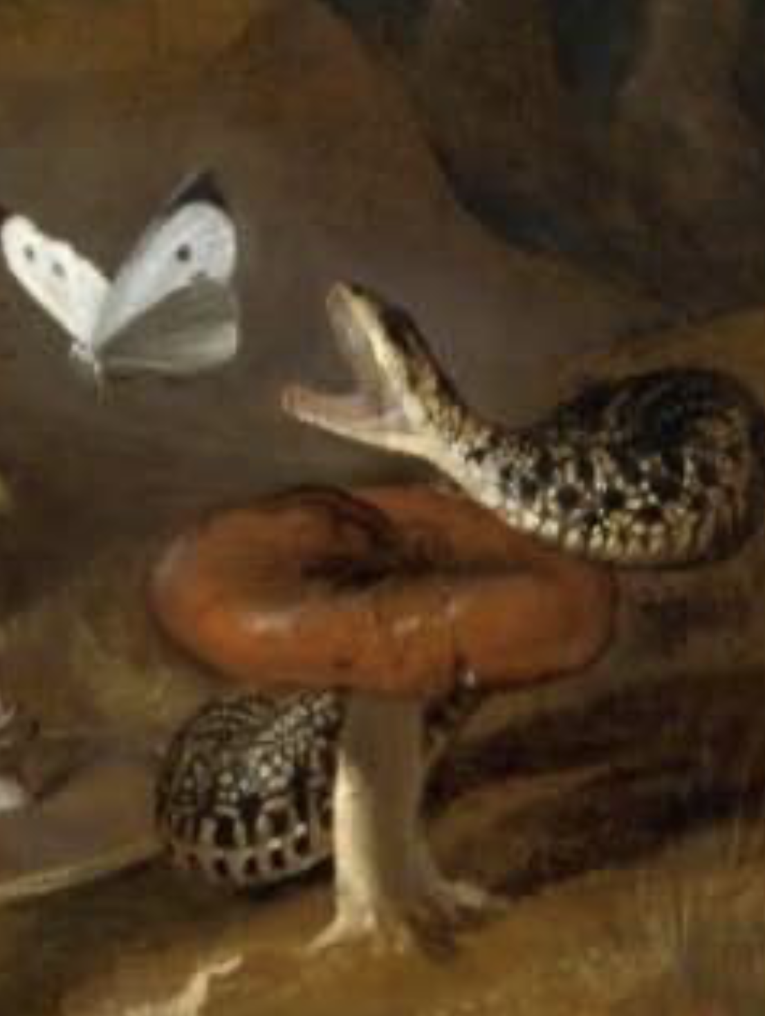 Снимок экрана 2022-10-18 в 23.11.12.png