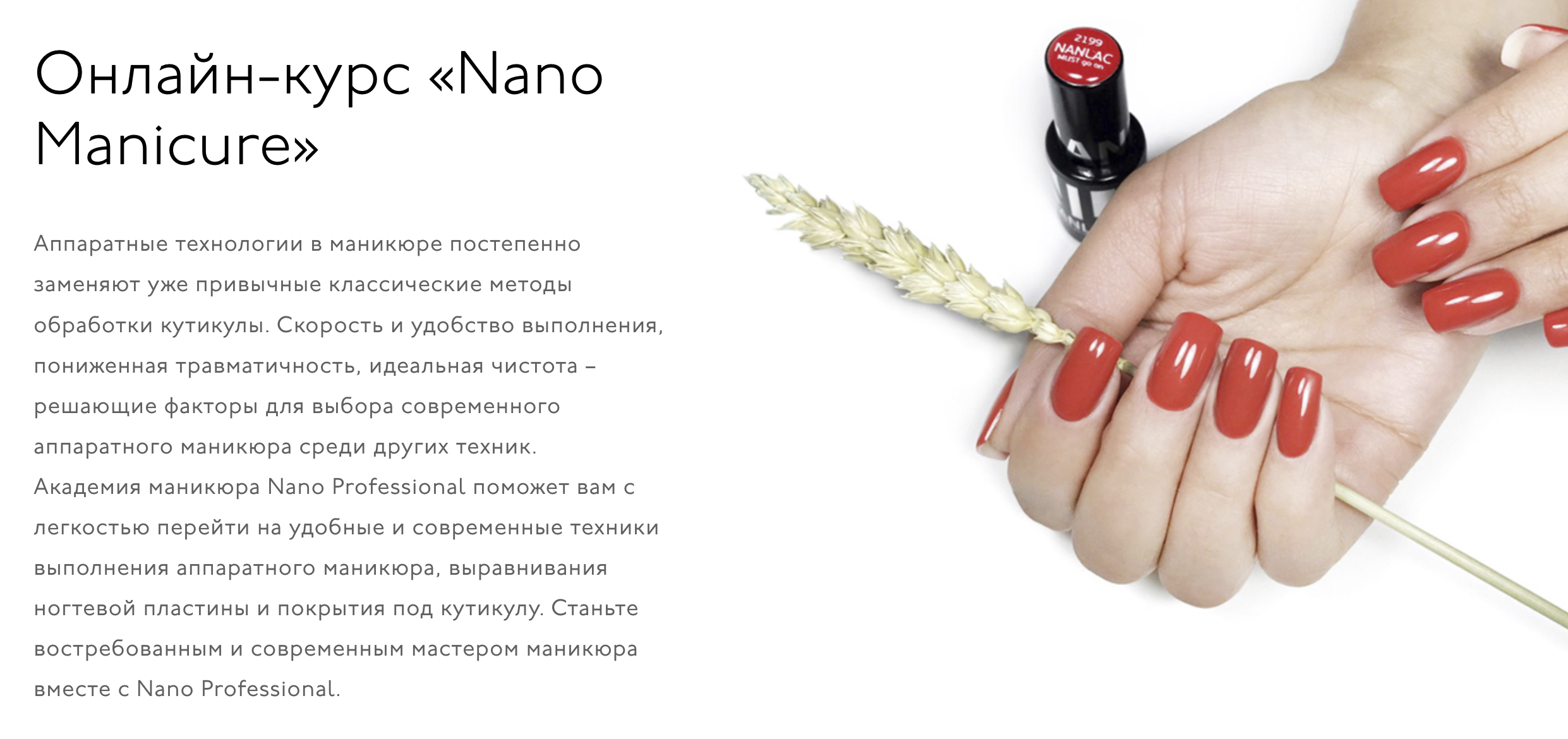 Снимок экрана 2024-04-03 в 10.01.31.png