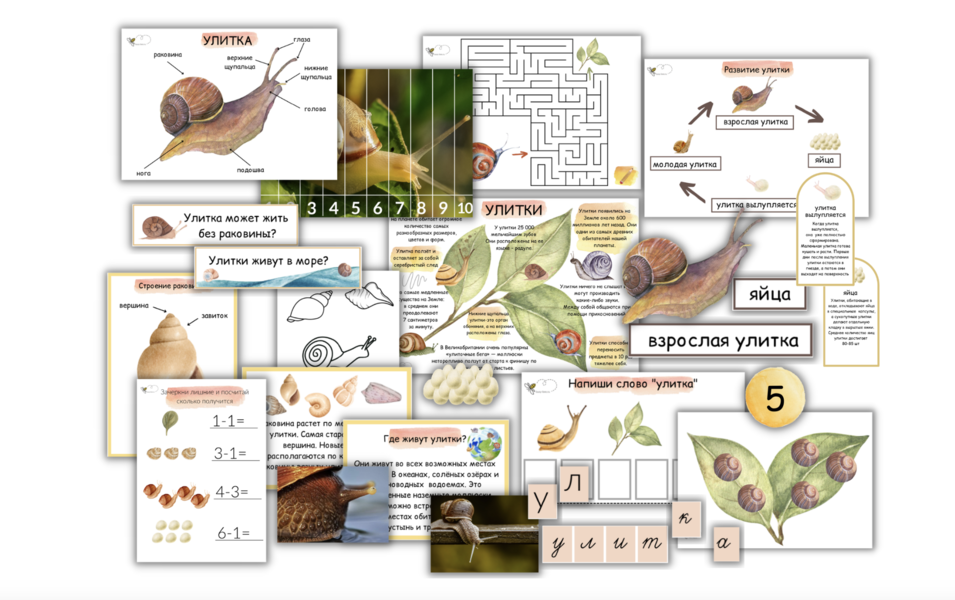 Снимок экрана 2025-04-27 в 01.24.13.png