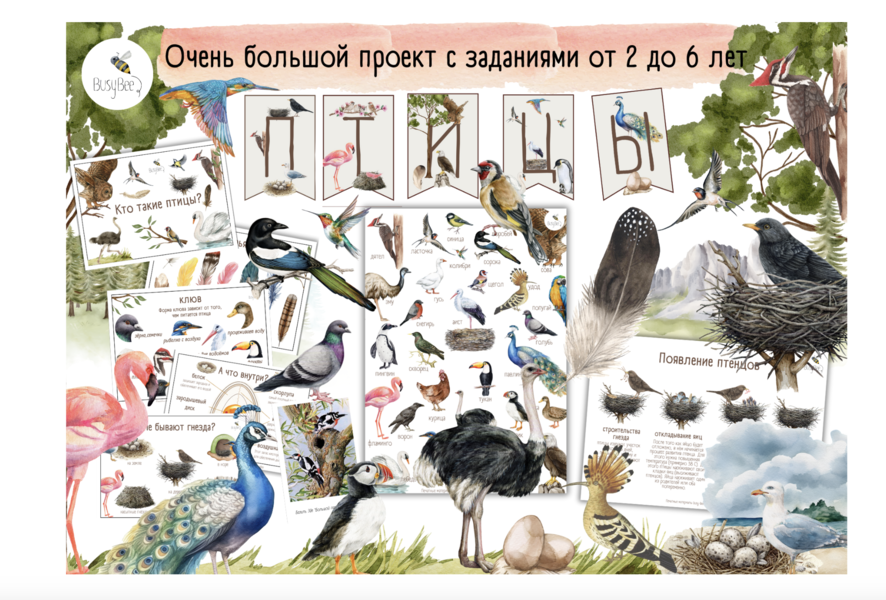 Снимок экрана 2025-04-27 в 01.32.45.png