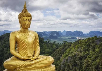 Точка интеллекта.png