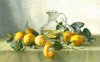 16_Lemons from the Solar Country_44x71_2011.jpg