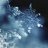 snowflake24